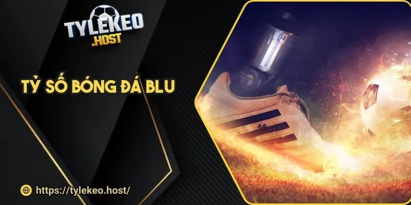 ty so bong da blu